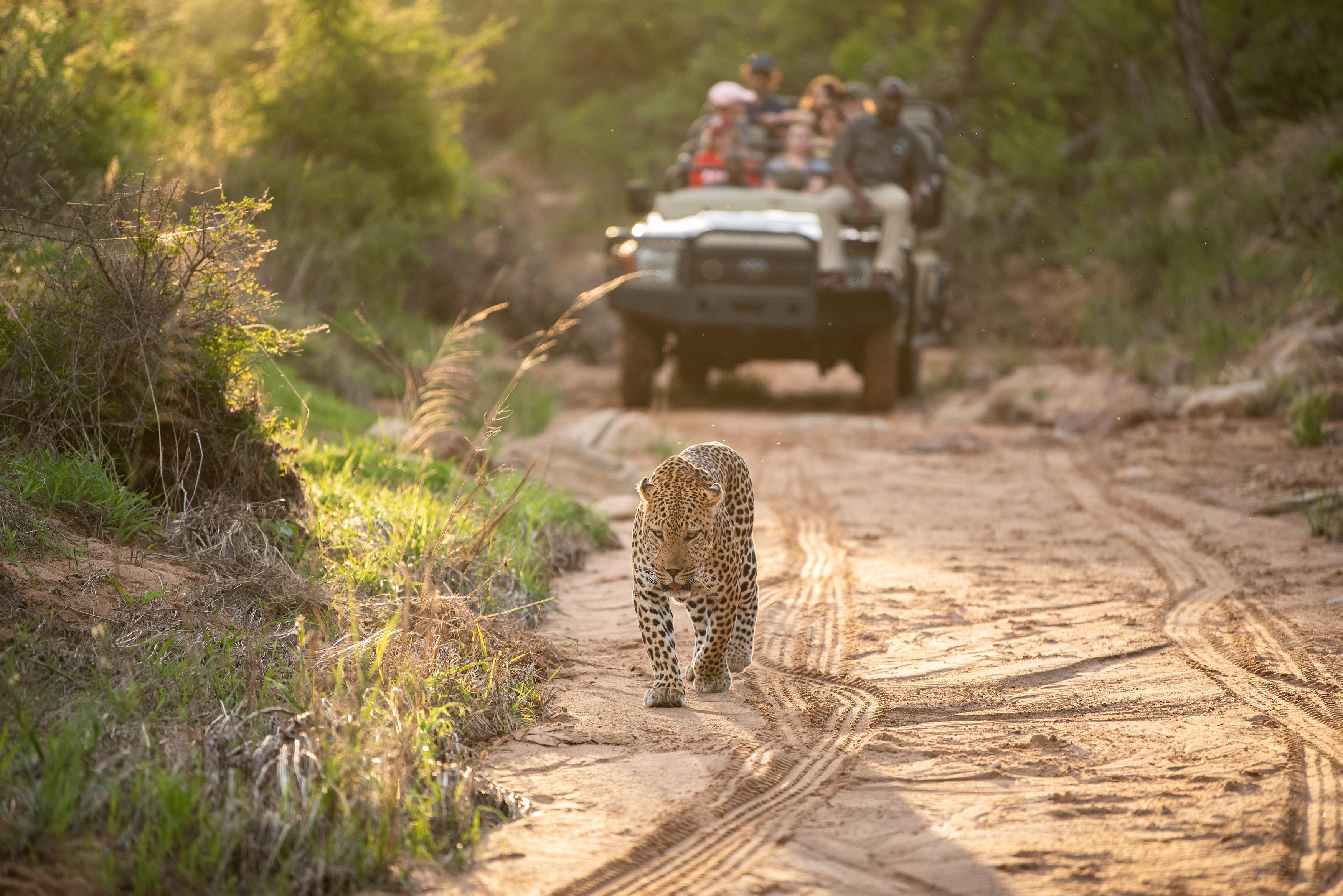 Kapama Buffalo Camp Kapama Game Reserve ภายนอก รูปภาพ