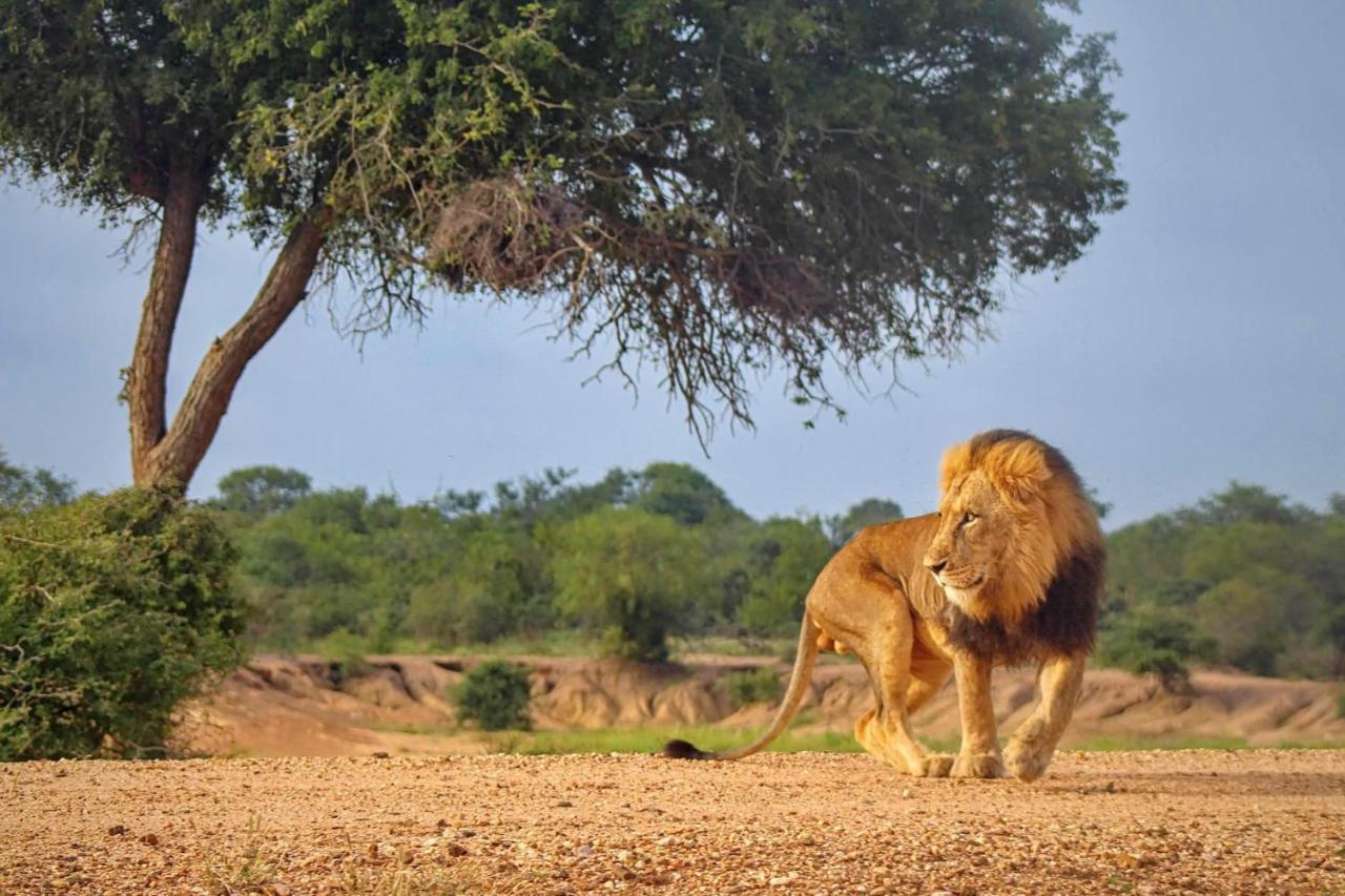 Kapama Buffalo Camp Kapama Game Reserve ภายนอก รูปภาพ