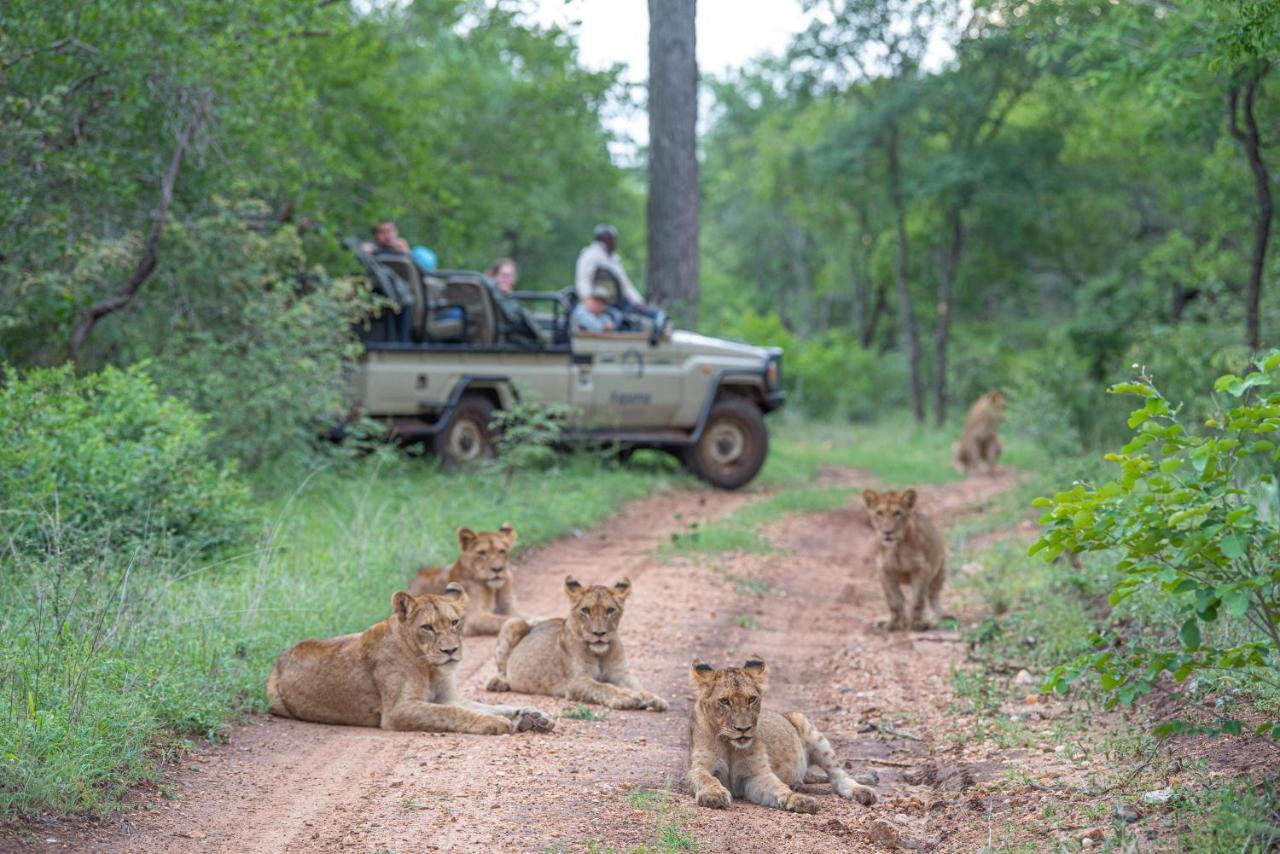 Kapama Buffalo Camp Kapama Game Reserve ภายนอก รูปภาพ