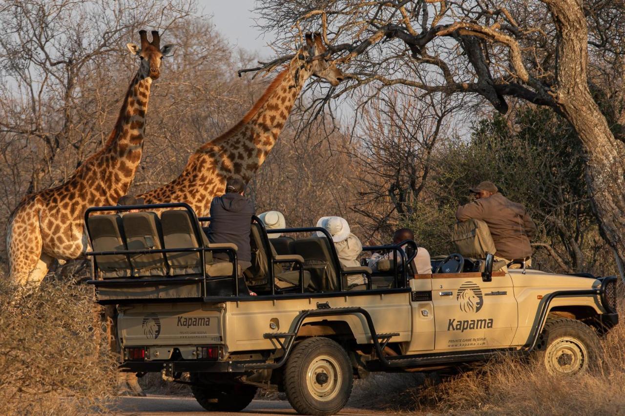 Kapama Buffalo Camp Kapama Game Reserve ภายนอก รูปภาพ