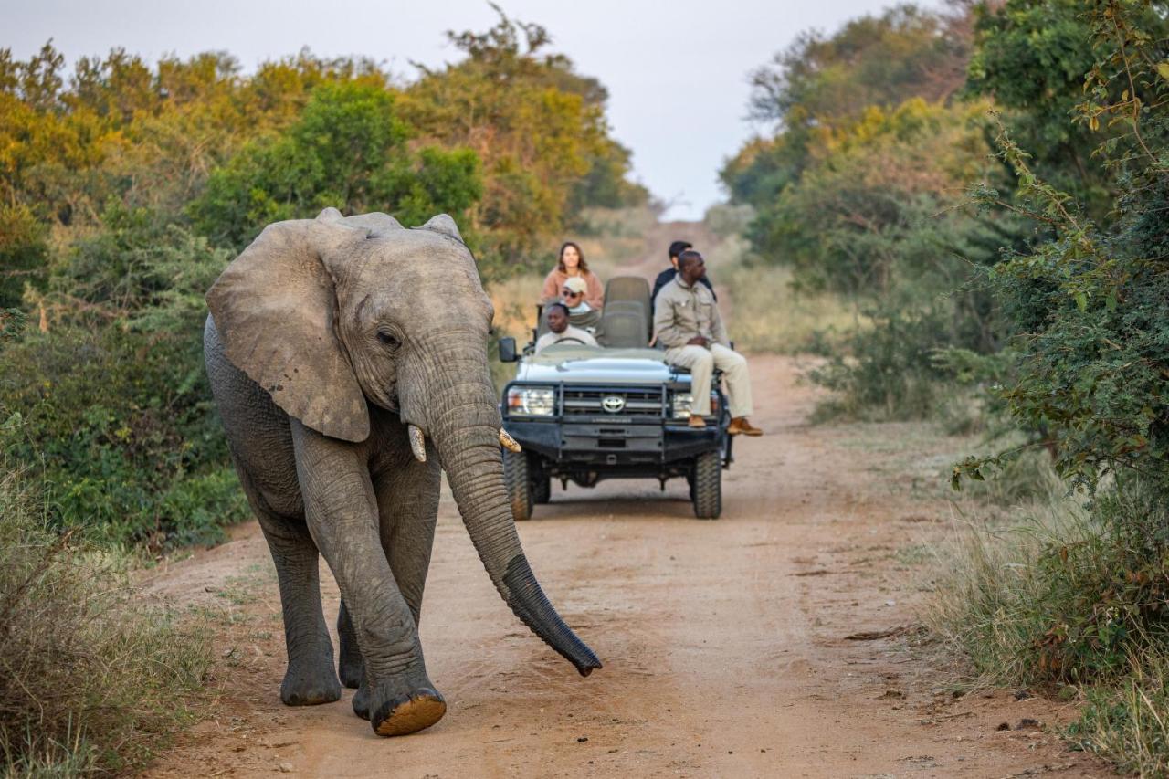 Kapama Buffalo Camp Kapama Game Reserve ภายนอก รูปภาพ