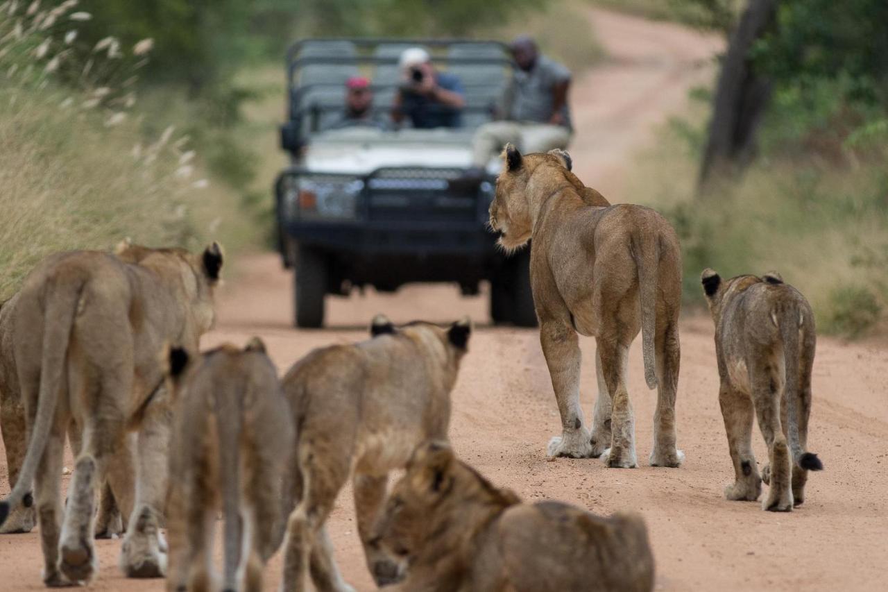 Kapama Buffalo Camp Kapama Game Reserve ภายนอก รูปภาพ